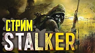 S.T.A.L.K.E.R Фотограф | Играем и Общаемся с Чатом | Стрим S.T.A.L.K.E.R. Фотограф