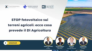 Stop fotovoltaico sui terreni agricoli  ecco cosa prevede il Dl Agricoltura