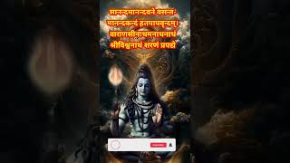 👉sanand manand vane vasantam(kashi vishvanath shiv mantra✨️#infinitystuti