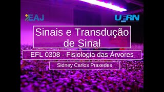 11 - Sinais e Transdução de Sinal - 4 - Giberelinas