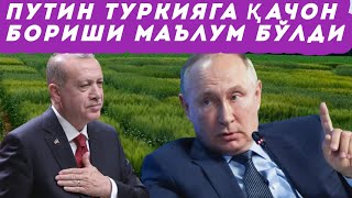 Путин Туркияга қачон ташриф буюриши маълум қилинди