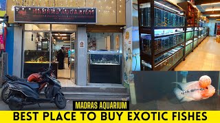 Madras Aquarium Complete Tour | Best Place to buy Exotic Fishes | AK VLOGS AND TRAVELS