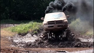 Lake Alice Mud Bog June 2nd 2018