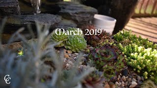 Monthly Memories | March 2019