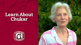 Learn About Chukar Cherries