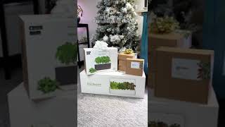 Smart Garden - a perfect holiday gift idea 🎄