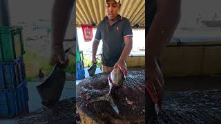 Oh !! Day in Life Village Harvesting Big Fishes Tuna Fish Cutting Skills