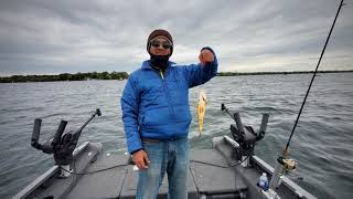 Fall Perch Fishing at Cooks Bay, Lake Simcoe 🎣🎣🎣