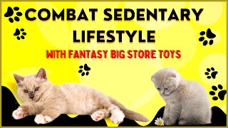 Unlock Your Cat's Inner Athlete: Combat Sedentary Lifestyle with FantasyBigStore Toys #toysforcats