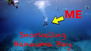 Hawaii Vlog Part1!! Snorkeling At Hanauma Bay!