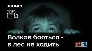 Александр Литвин: волков бояться - в лес не ходить