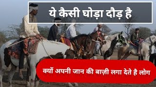 घोड़ों की दौड़ में टूट गया रिकॉर्ड | Stallion horse | Horse Racing | घोड़ी चाल दौड़