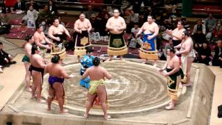 Tokyo Sumo Tournament- Presentation