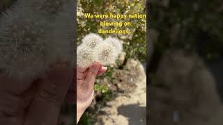 #millenials #millenialmom #dandelions#happynation #nature