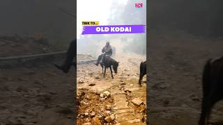 Old Kodaikanal #trendingshorts #shortsvideo #shortsviral #viralreels #viralvideos #kodaikanal #kodai