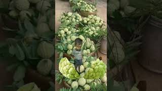 Atis #funplay #fruit #shorts #trending