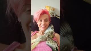 Annyira Cuki Muki #shorts #cute #animals #parrot #youtubeshorts #funny #happy