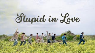 &Team — Stupid In Love [FMV]