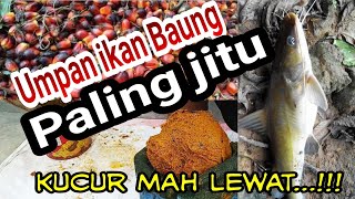 CARA MUDAH MEMBUAT KUCUR BUAH SAWIT // UMPAN IKAN BAUNG PALING JITU