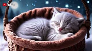 'Ad-free' lullaby with cute creamy blue kitten