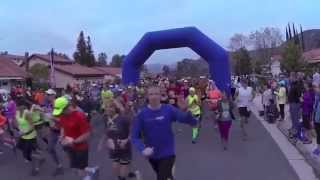 Cheseboro Half Marathon - Great Race of Agoura Hills 2014 - by Steve Mackel