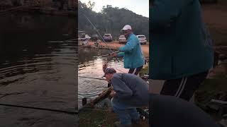 malagueta, pegando de três tilápias de uma vês, pesqueiro doidos por pesca #pesqueiro