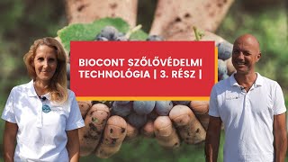 Biocont Szőlővédelmi Technológia | 3/3 | érés közeli védelem, fomopszisz, kigyóaknás, gyapjastetű