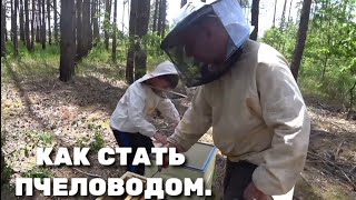 КАК СТАТЬ ПЧЕЛОВОДОМ.