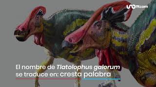 México: descubren un nuevo y extraño dinosaurio