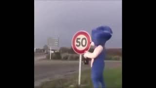 sonic the hedgehog movie meme