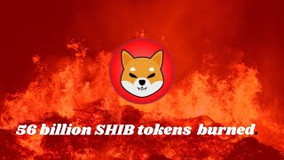 BTC | ETH | SHIB INU | CRYPTO |