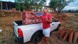 PRIMEIRA ENTREGA DO NOVO LOTE DE FRANGO !!