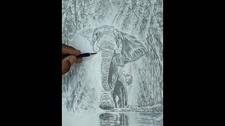 How To Draw Elephant In A Forest Scenery