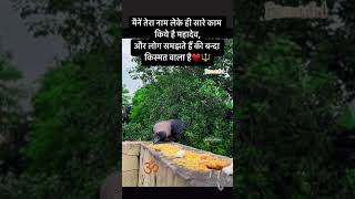 Har har mahadev😘🫶♥️#love #reels #shortvideos #viralvideo #shorts #birds #video #sound #rakhi #crow