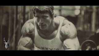 Arnold Schwarzenegger Motivation   Part  2