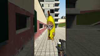 Bananacat at School #gmod 😸🍌