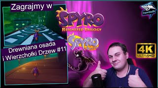 Zagrajmy w Spyro Reignited Trilogy Spyro the Dragon Drewniana osada i Wierzchołki Drzew #11