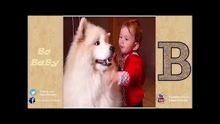 Cutest Puppies Video - Cutest Happy Pomeranians Puppies Having Fun Compilation 2017 - VideoStudio