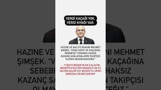 Vergi kıyağı