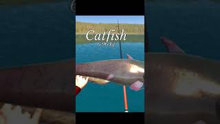 CATFISH STRIKE // ULTIMATE FISHING SIMULATOR #shorts