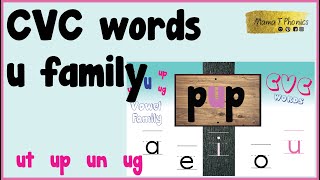 CVC Words | u family | learn all the CVC words one vowel at a time | short vowel u | segment - blend