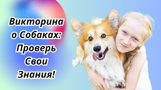 Викторина о Собаках: Проверь Свои Знания!