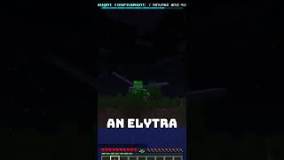 Elytras Ruined Minecraft