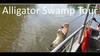 Alligator Boat Ride Tour | New Orleans