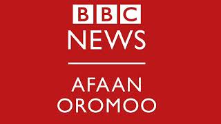 Ashamaa! Sagantaan BBC AFAAN OROMOO eegaleera.
Sagantaa har’aan: -  Bakki qorannoo yakkaa ‘ma’akalaa