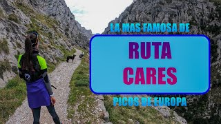 PICOS DE EUROPA - Ruta del CARES desde Poncebos || Desnivel Positivo