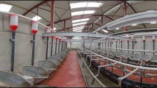 360 cubicle & parlour shed walk through