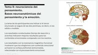 Psicología del Pensamiento UNED - Tema 9, Parte 8