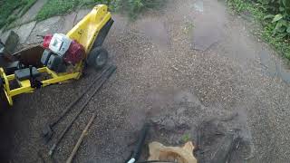 How to grind a stump with rocks all around it and by huge windows safely 1 I Houston , Texas