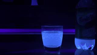 FUN WITH TONIC WATER & BLACK LIGHT EXPERIMENT